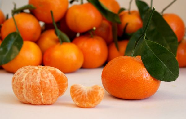 Clementine from Spain supplied by Filosofo SL - Exportaciones Aranda SL - Fresh (=Chilled) Fresh Clementine