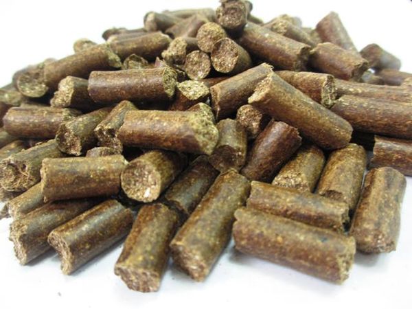 Molasses Pellet from 베트남 supplied by NUTRIVISION CO., LTD - PP Bags 카사바