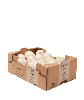 Fresh White Onion from Spain supplied by TORRIBAS - White Fresh Onion