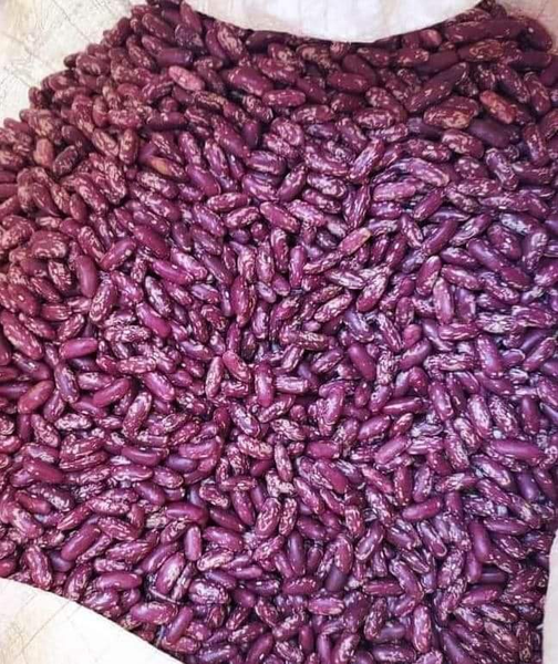 Red Kidney Beans from 탄자니아 supplied by Matumika Company Limited - 원물 말린 강낭콩