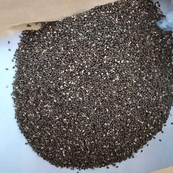 Chia Seeds from 페루 supplied by MANGMEE ENTERPRISE COMPANY LIMITED - Gray 치아 씨