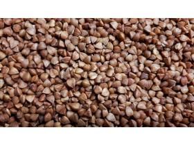 Buckwheat Groat from Russia supplied by CJSC BKK Naladchik - Groat Buckwheat