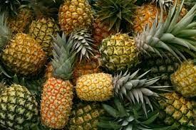 Pineapple from 독일 supplied by Matthies & Söhne Fruchtimport GmbH - Fresh (=Chilled) 신선 파인애플