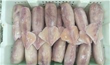 Frozen Squid from China supplied by Changli County Yongjun Freezing Food Co., Ltd - Whole Frozen Squid