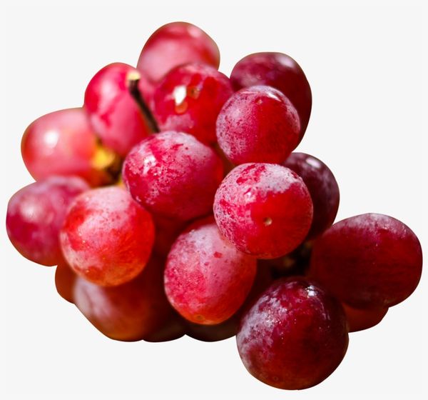 Grape from 대만 supplied by Fruit Li Co., Ltd. - Fresh (=Chilled) 신선 포도