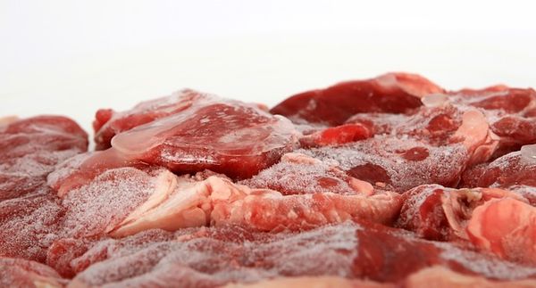 Chicken Meat from 말레이시아 supplied by Freshganics - Wing - Drumette 냉동 미절단 닭고기