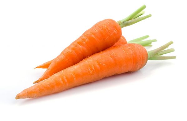 Fresh Carrot from Egypt supplied by Arena Holding - Carton Box (=Cardboard Box) Fresh Carrot