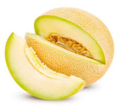 Fresh Melon from Spain supplied by S.A.T. INVER - 4s (Size: 3) Fresh Melon (Muskmelon)