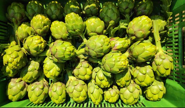 Artichoke from Switzerland supplied by FELDHOF - Green Fresh Artichoke