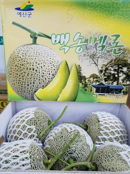 Korean Honeydew from 대한민국 supplied by Wah Kee - Huaji Vegetables Co., Ltd. - Round 신선 멜론(머스크 멜론)