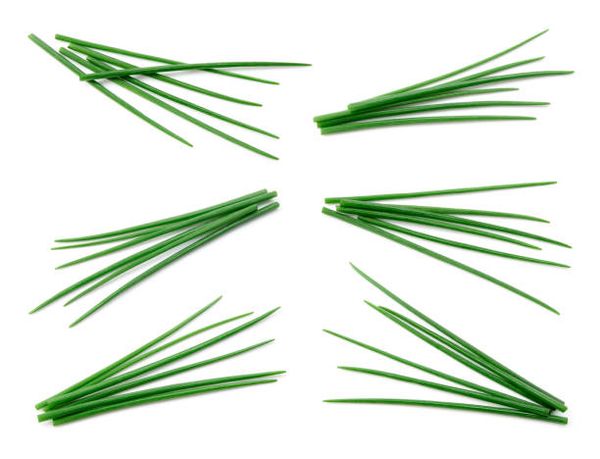 Chives from Kenya supplied by Ad-Lib Limited - Conventional Aromatic Herbs