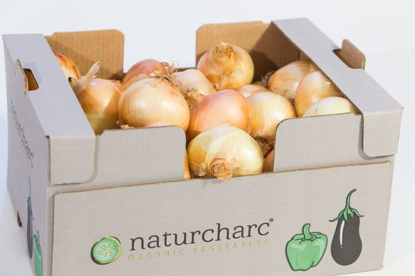 White onion from Spain supplied by Naturcharc - White Fresh Onion