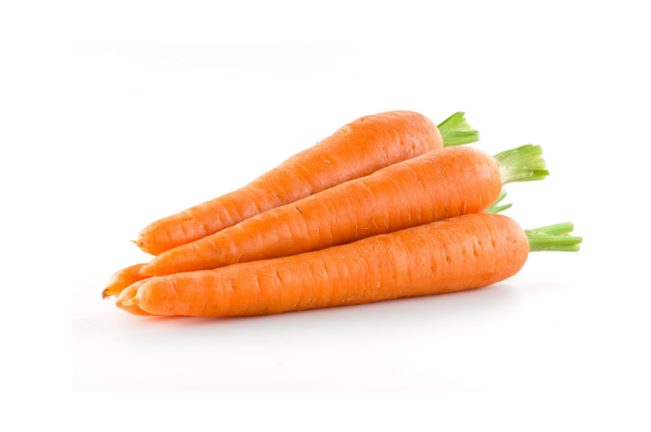 carrot from Netherlands supplied by Verhagen Holland bv - 10 kg rednet/ plastic Also available in jumbo bags of 1100 kg. Fresh Carrot