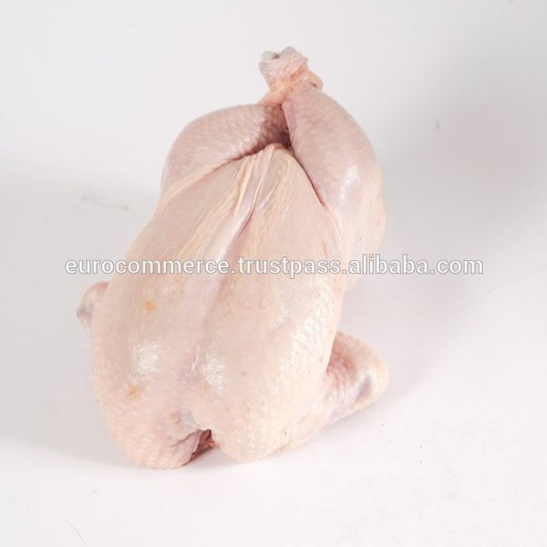 Whole Chicken IWP HALAL from Ukraine from 우크라이나 supplied by Euro-Commerce LTD - Whole 냉동 미절단 닭고기