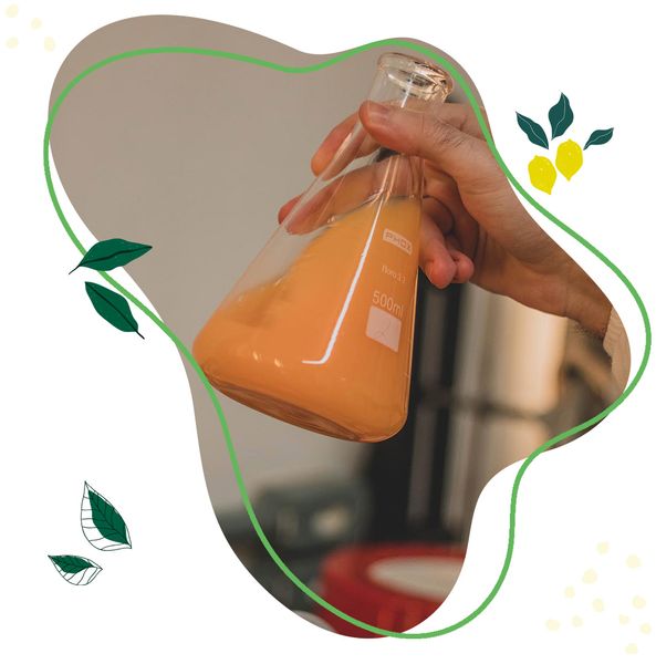 CONCENTRATED MANDARIN JUICE from 브라질 supplied by Ecocitrus - Drum 오렌지주스
