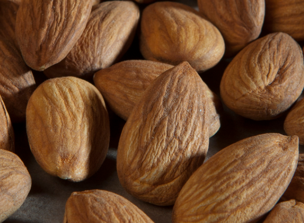 Natural Almonds from 칠레 supplied by Exportadora Huertos del Valle SA (HDV) - In-shell 아몬드 알맹이