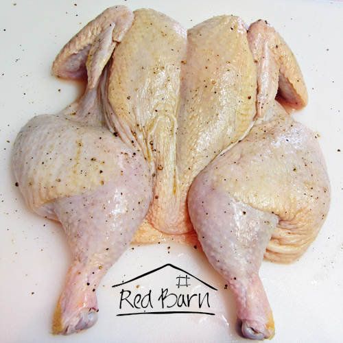 Chicken from 남아프리카공화국 supplied by Red Barn Farm - Free Range 냉동 미절단 닭고기
