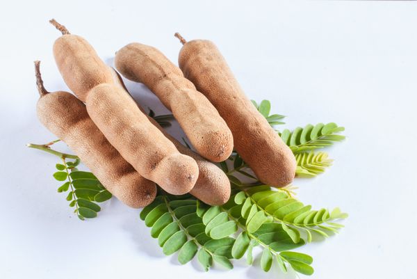 Tamarind from India from 인도 supplied by GREENLAND FRESCO - Without Shell (=Shelled) 신선 타마린드