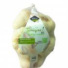 Fresh Garlic from 프랑스 supplied by FERME DE LA MOTTE - Conventional 신선 마늘