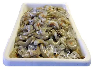 Shrimp from 미국 supplied by Billy's Seafood Inc - Shell On (=Unpeeled) 신선 새우