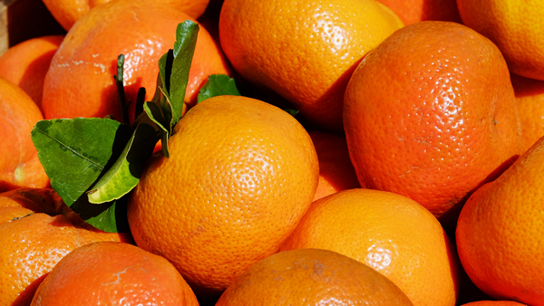 Mandarin from Colombia supplied by East Colombia Trading Company - Sweet Fresh Mandarin