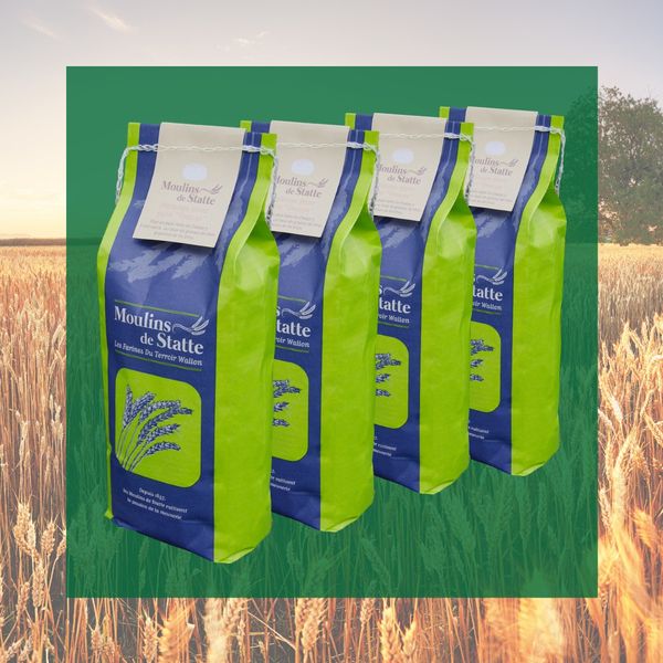 Flour from Belgium supplied by MOULINS DE STATTE - Individually Wrapped (=IW) Other Flour Products