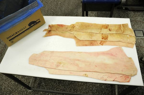Pork Rind from Belgium supplied by Dhagrameat - Sliced Pork Rind
