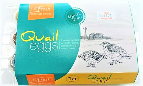 Quail Egg from 말레이시아 supplied by LTKM Berhad - In Shell 메추라기 알
