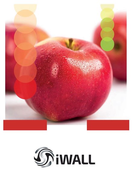 APPLE from 폴란드 supplied by iWALL Sp. z o.o. - Carton Box (=Cardboard Box) 신선 사과