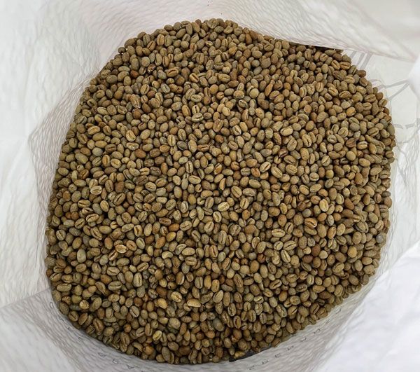 Peaberry Baby Dragon Natural from 콜롬비아 supplied by Café Granja La Esperanza S.A. C.I. - Colombia 생원두
