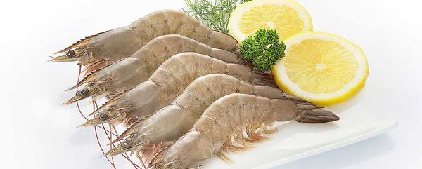 Shrimp from 캐나다 supplied by Charoen Pokphand Foods Canada Inc. - Fresh (=Chilled=Raw) 냉동 새우