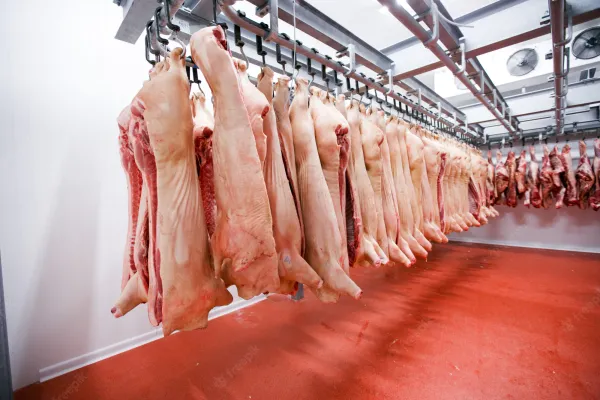 Pork from 폴란드 supplied by Carmi Food K. Czerniej Sp. j. - Without Throat (=Without Neck) 신선 돼지고기 햄 및 목살