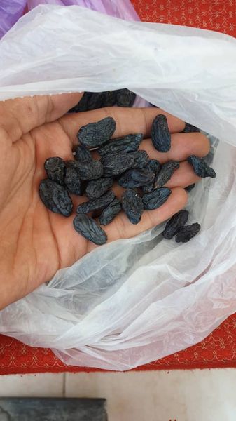 Raisin (Dried Grape) from Turkiye supplied by DelWin - A Raisin (Dried Grape)