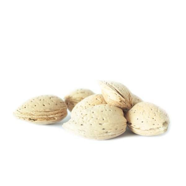 Almond from 캐나다 supplied by Foods Jardi - 갈색 아몬드 알맹이