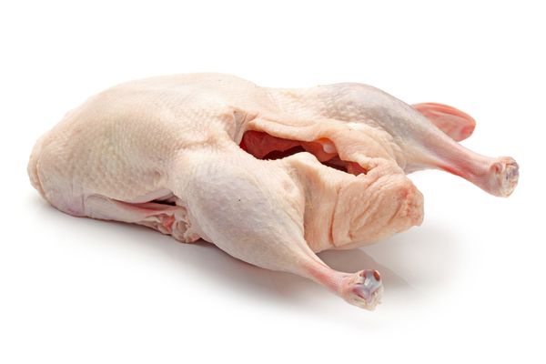 Duck Meat from 베트남 supplied by Gia Phat Food Joint Stock Company - Boneless (=Without Bone=Deboned) 오리고기