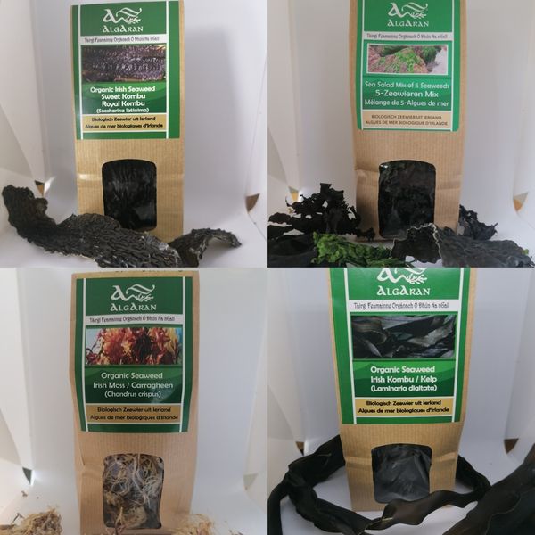 Organic Seaweed from 아일랜드 supplied by Algaran Teo - Organic Seaweed Products - Spirulina (=Ulva Spiralis) 냉동 해조류
