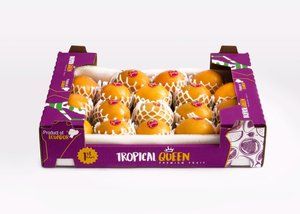 Fresh Passionfruit from 에콰도르 supplied by ECUAFIELDS C.L. - Carton Box (=Cardboard Box) 신선 패션프루트