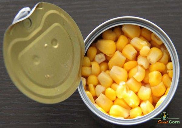 Canned Sweet Corn from 태국 supplied by Thai Sweet Corn Ltd. - 노란색 사탕옥수수 가공품