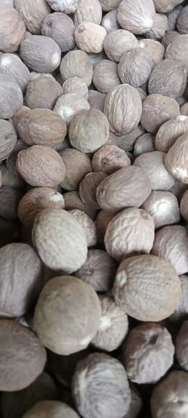 Nutmeg from Indonesia supplied by Indo Bumi Lavanaa - Fresh Whole Nutmeg