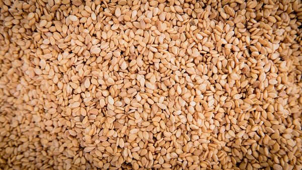 Sesame Seeds from 이집트 supplied by Pharaohs Herbs - Good Quality 참깨