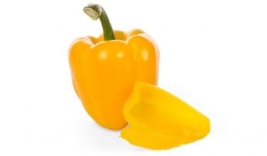 pepper from 네덜란드 supplied by Snijpunt B.V. - Yellow 신선 피망