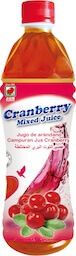 Cranberry Mixed Juice from 대만 supplied by SUNNANO BIOTECH INC. - Juice 크랜베리주스