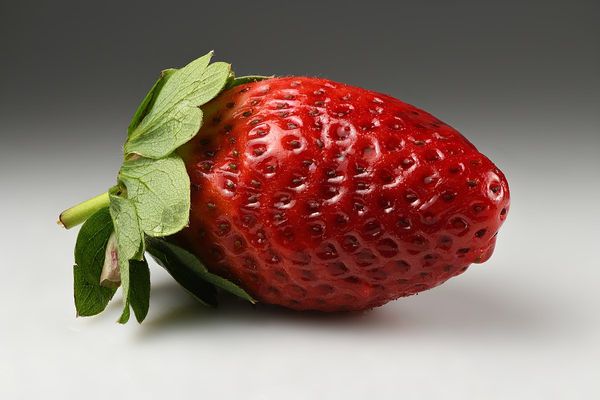 Fresh Strawberry from Germany supplied by Zimmermann GbR - Red Fresh Strawberry