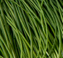 Chives from 폴란드 supplied by RUN-CHŁODNIA we Włocławku Sp. z o.o. - Cut 부추