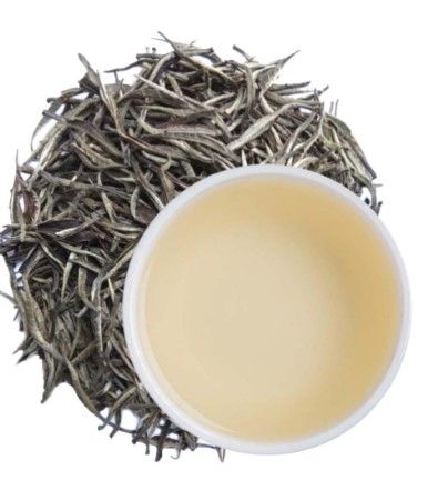 White Tea from 스리랑카 supplied by Hatton Tea Merchant - Leaves 백차