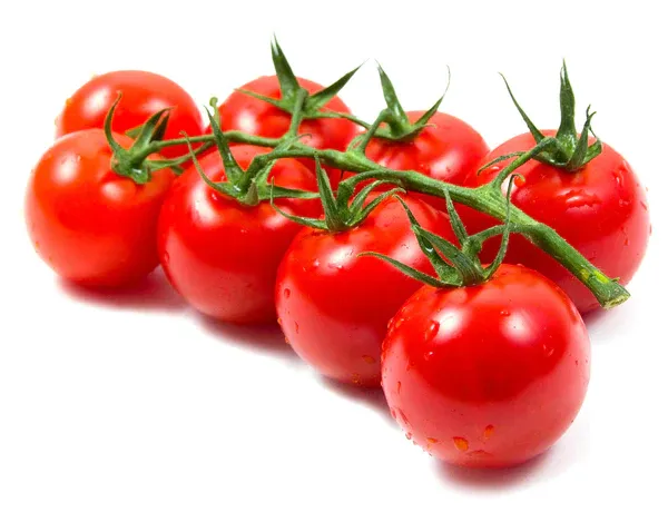 Fresh Red Cherry Tomato from 이탈리아 supplied by Miss Bonita - Cherry Varieties - Red Cherry 신선 토마토