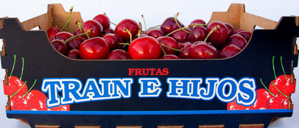 Fresh Cherry from Spain supplied by Frutas Train - Red Fresh Sweet Cherry