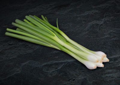 Fresh Spring Onion from 독일 supplied by Bördegarten - Sachsen GmbH - Green 신선 봄양파