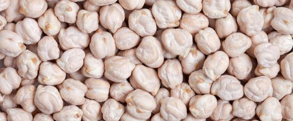 Fresh Chickpeas from United States supplied by Crown Products Inc. - Kabuli Dried Chickpea