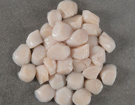 frozen scallops from 미국 supplied by Sea-Trek Enterprises Inc. - Sea Scallop (=Placopecten magellanicus=Weathervane Scallops=North Atlantic Sea Scallop=) 냉동 가리비